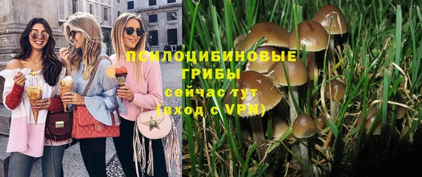 прущие крисы Нефтекумск