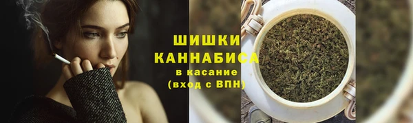 PSILOCYBIN Навашино