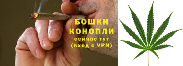 гидра Наволоки