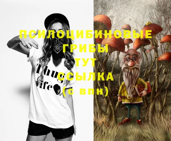 apvp Нея