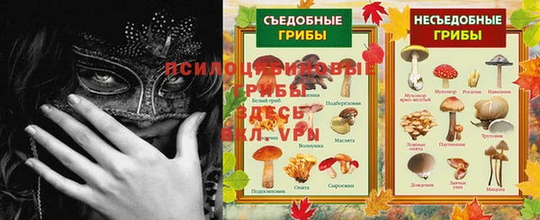 прущие крисы Нефтекумск