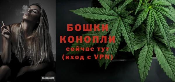 PSILOCYBIN Навашино
