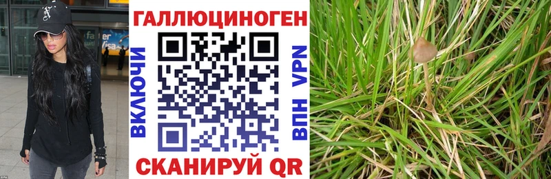 цены наркотик  Наволоки  Галлюциногенные грибы GOLDEN TEACHER 